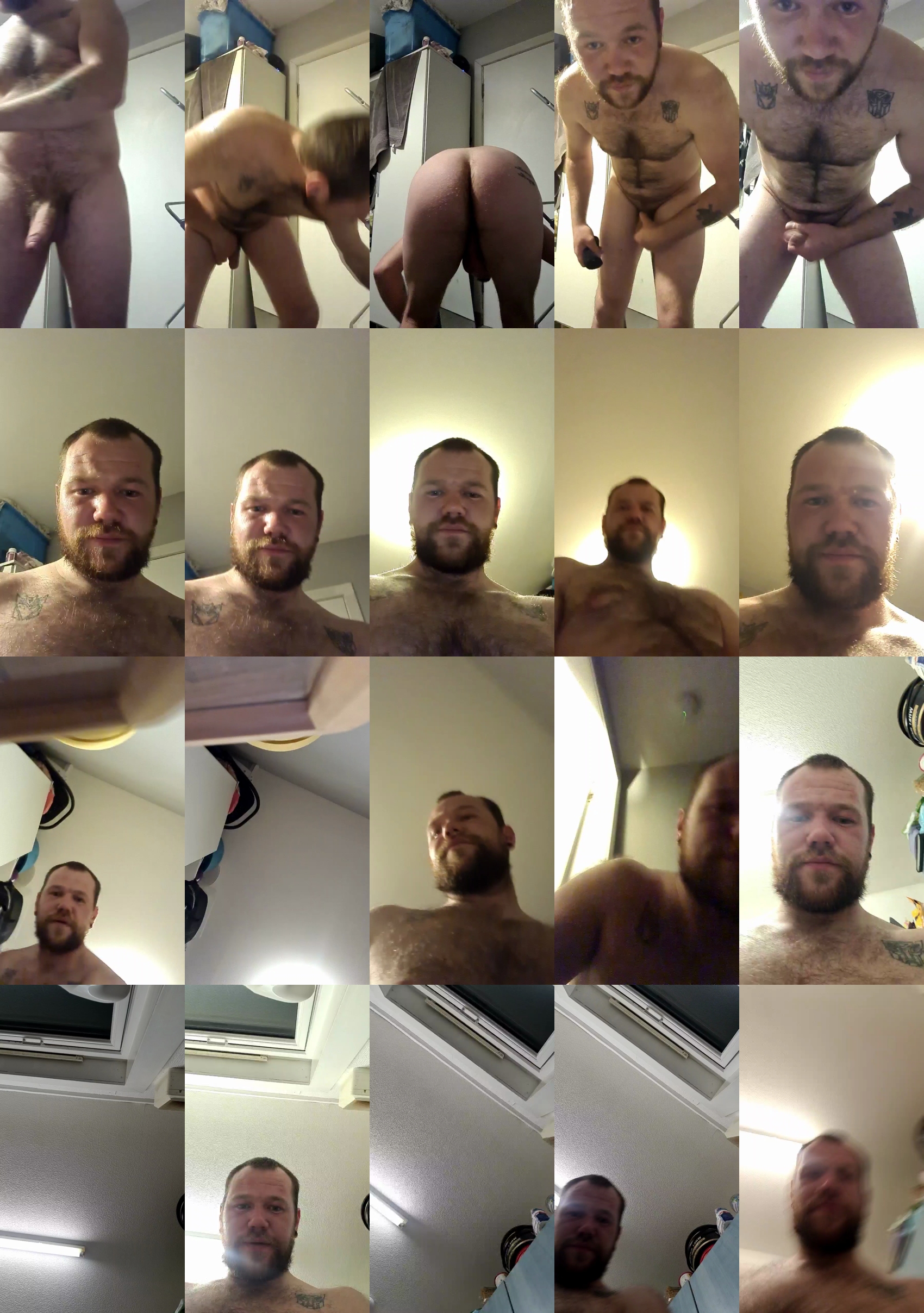 Thatchippy  18-03-2022